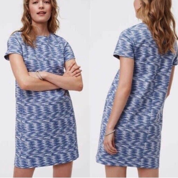 Ann Taylor Loft Petite Space Dye Shift Dress - Picture 1 of 10